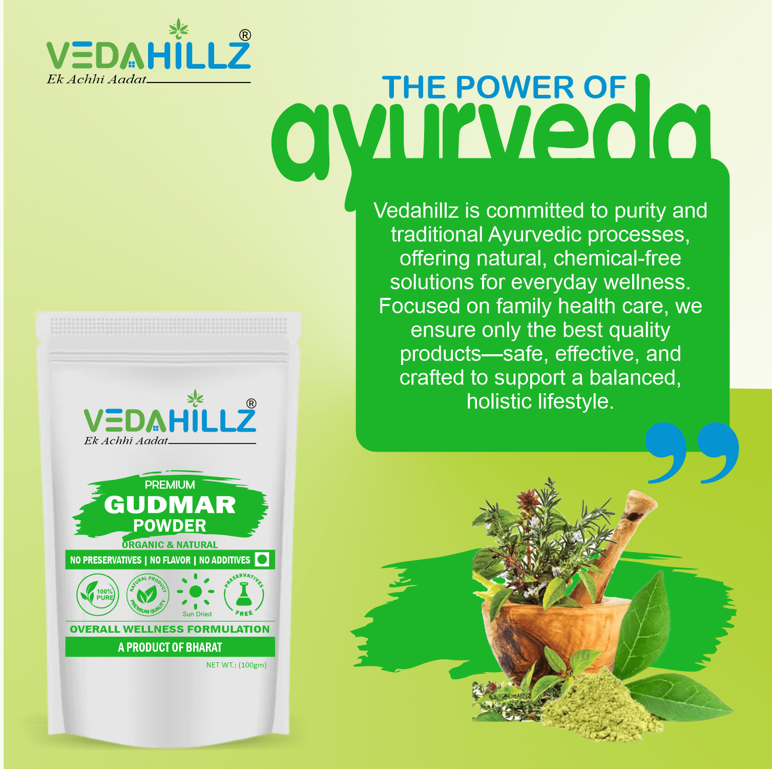 Vedahillz Pure Gudmar Powder Made from Natural Dried Gudmar Leaves